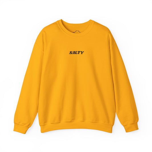 SALTY sweatshirt | 'You are the salt of the earth' Matthew 5:13 back